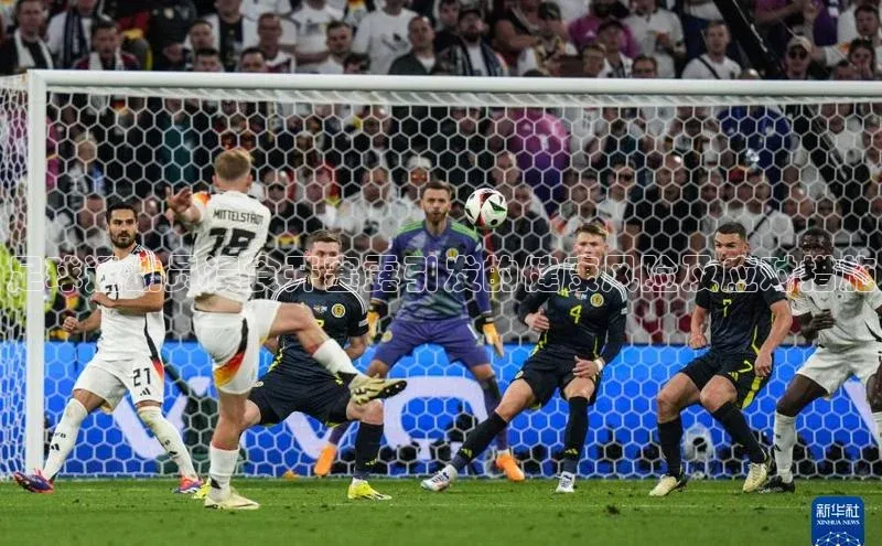 尊龙官方网站官网入口阿里尔公司