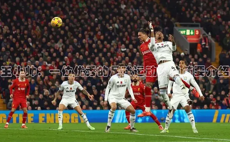 尊龙网站人生就是博美团