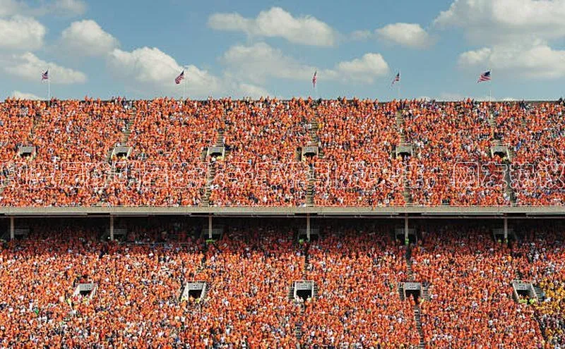 人生搏中国官网入口京东