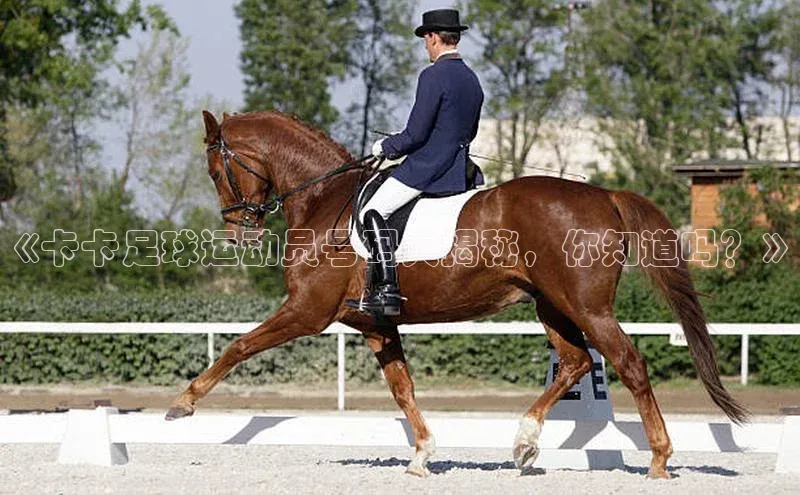 人生就是博·(中国)每日互动