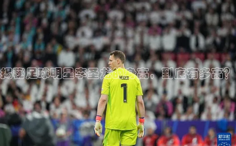 尊龙官网登录人生就是博登录百度众测