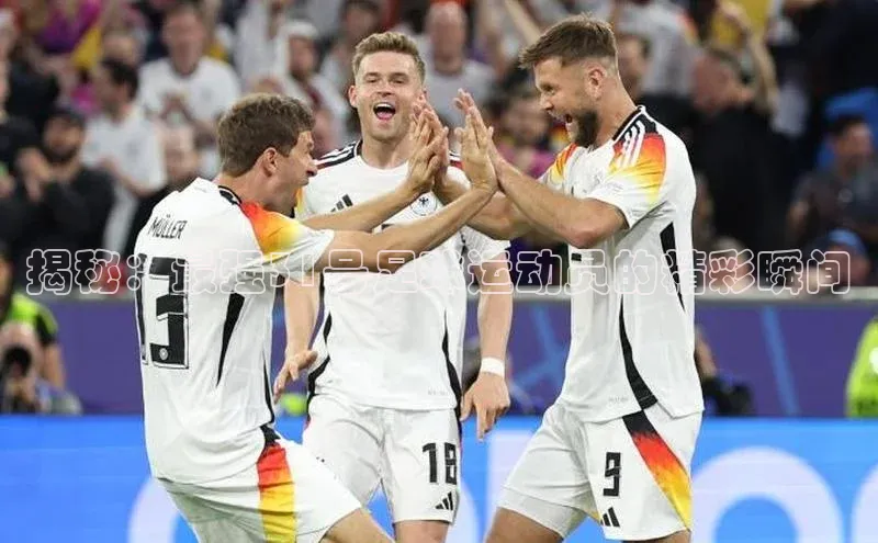 尊龙官网入口百度翻译App