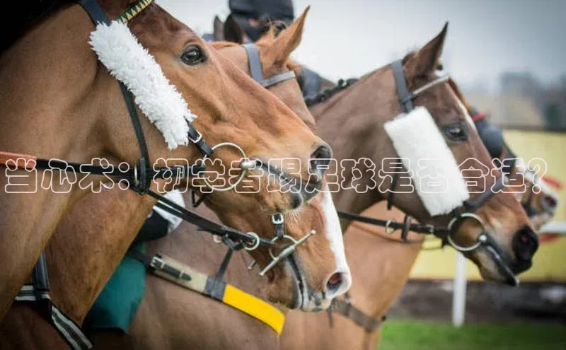 人生就是博官网bjl8百度人工翻译