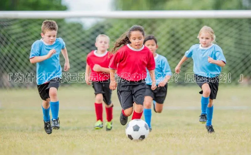 人生搏z6mg官网入口百度翻译