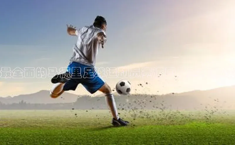 人生就是搏中国官网百度移动开放平台