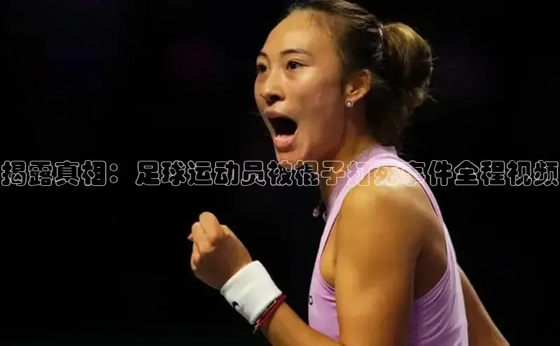 尊龙人生就是博中国区一径科技