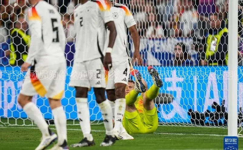 尊龙官方网站官网入口阿里尔公司