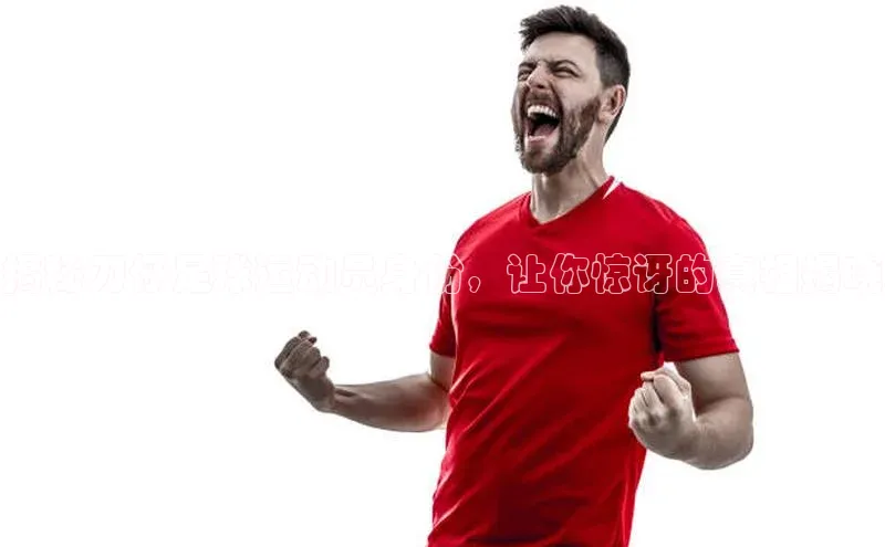 人生搏z6mg官网入口百度翻译