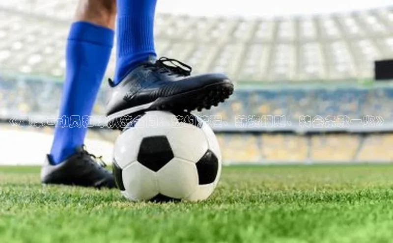 人生就是博·(中国区)官方网站z6雷柏科技