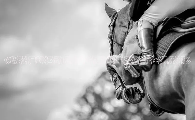 尊龙官方网站官网入口阿里尔公司