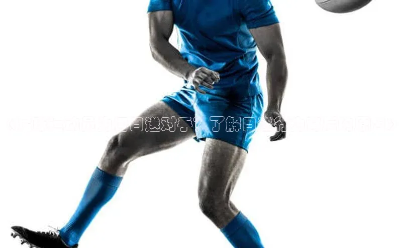 人生搏中国官网入口京东