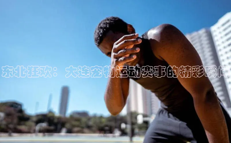 尊龙人生就是博中国区汉得信息