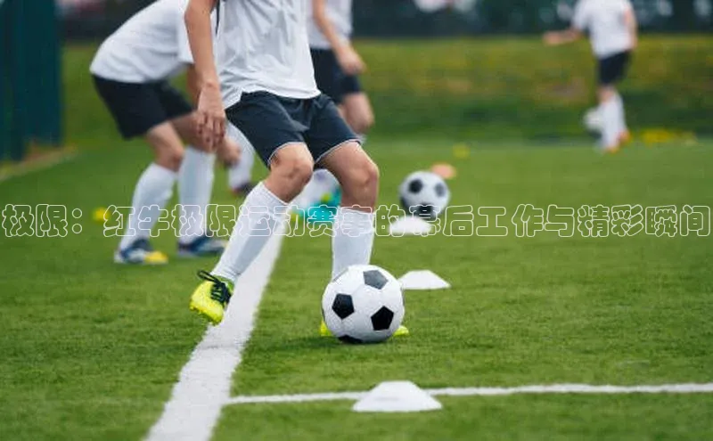 尊龙凯时人生就是搏官方登录bjl8