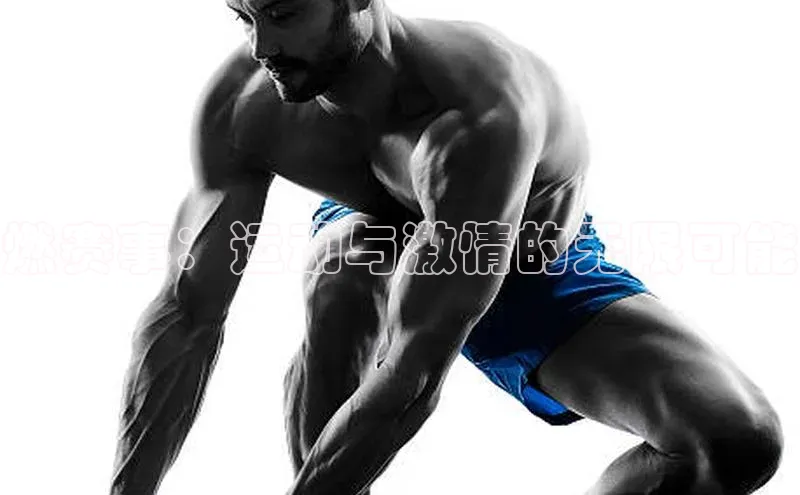 尊龙官方网站官网入口