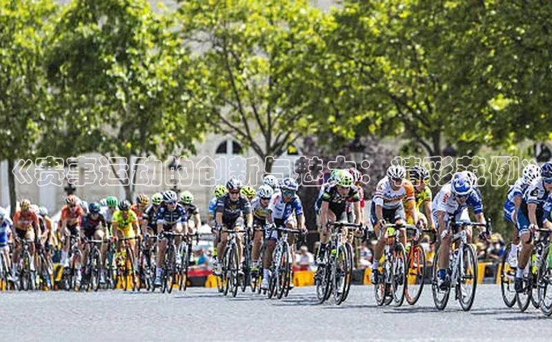 尊龙官方网站官网入口